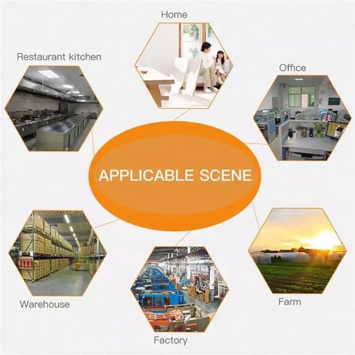 Black Rat Killing Magic Carpet Rodents Moles Trap Rat Mice Trap Mouse Glue Trap Rat Tarps Mat